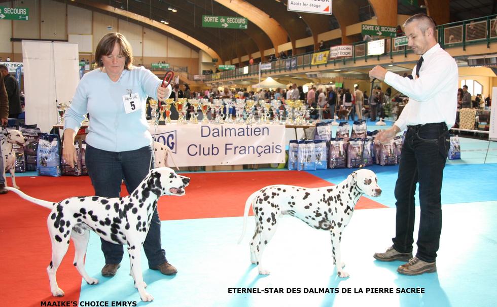 RESULTATS DE LA NATIONALE D'ELEVAGE 2010