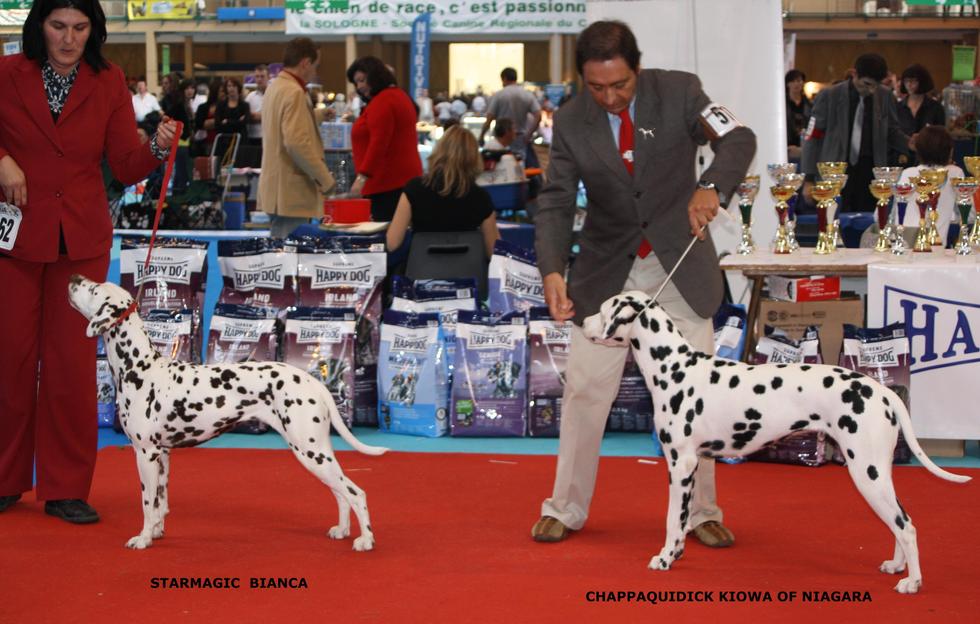 RESULTATS DE LA NATIONALE D'ELEVAGE 2010