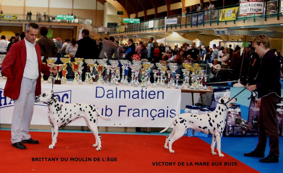 RESULTATS DE LA NATIONALE D'ELEVAGE 2010