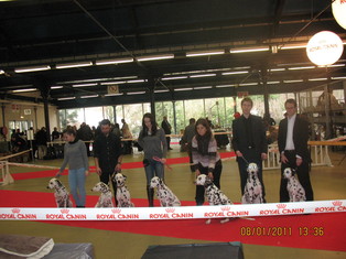 RESULTATS DE PARIS DOG SHOW LE 08.01.2011 RESULTATS DE PARIS DOG SHOW LE 08.01.2011
