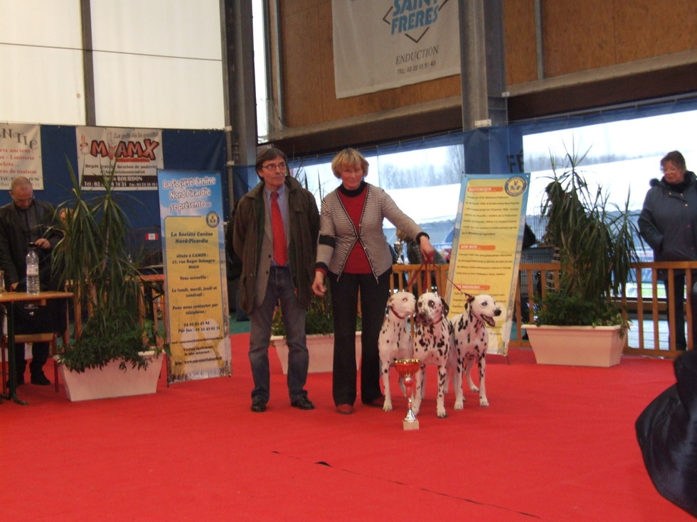 ALPINE, DREAM LADY ET BERENICE DU DOMAINE DU SYRTOS 1ERE PLACE LOT D ELEVAGE