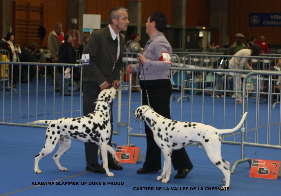 RESULTATS DE LA NATIONALE D'ELEVAGE 2009
