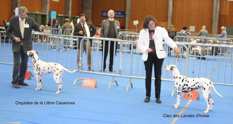 RESULTATS DE LA NATIONALE D'ELEVAGE 2009