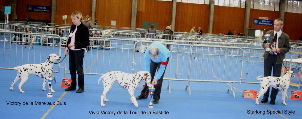 RESULTATS DE LA NATIONALE D'ELEVAGE 2009