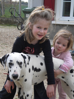 Sélection sur le caractère : un devoir ! / Le TAN (Test d'Aptitudes Naturelles) Sélection sur le caractère : un devoir ! / Le TAN (Test d'Aptitudes Naturelles)