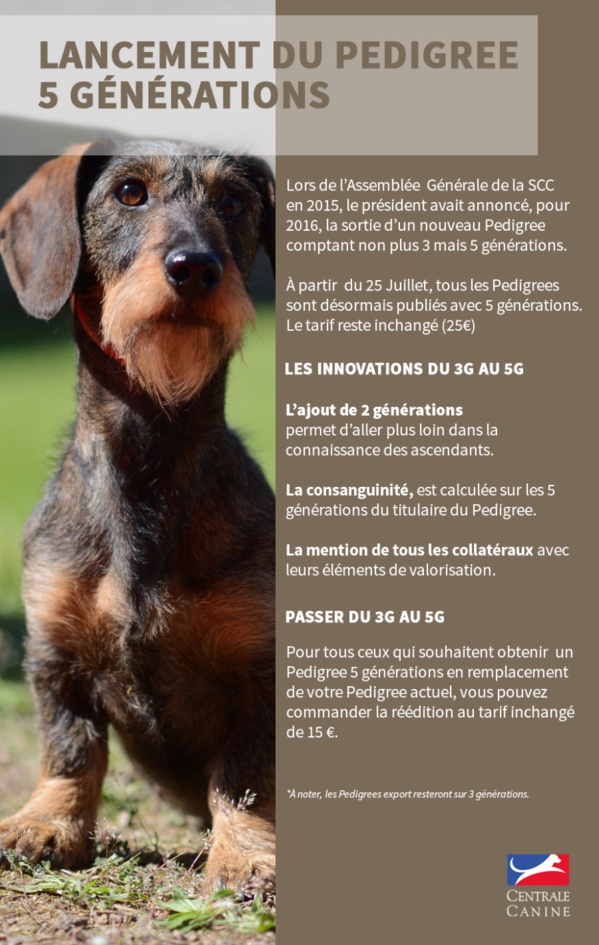 LANCEMENT DU PEDIGREE SUR CINQ GENERATIONS