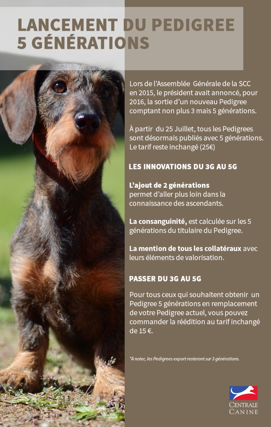 LANCEMENT DU PEDIGREE SUR CINQ GENERATIONS