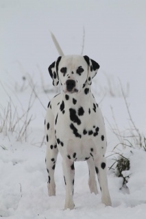 555945881_10237553739079956_4691637568388708108_n 555945881_10237553739079956_4691637568388708108_n