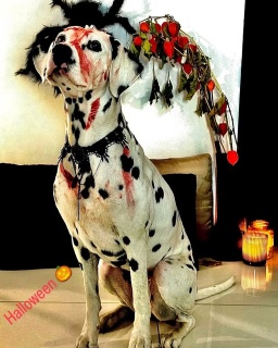 569026525_18056430506635618_3425836637368031136_n 569026525_18056430506635618_3425836637368031136_n